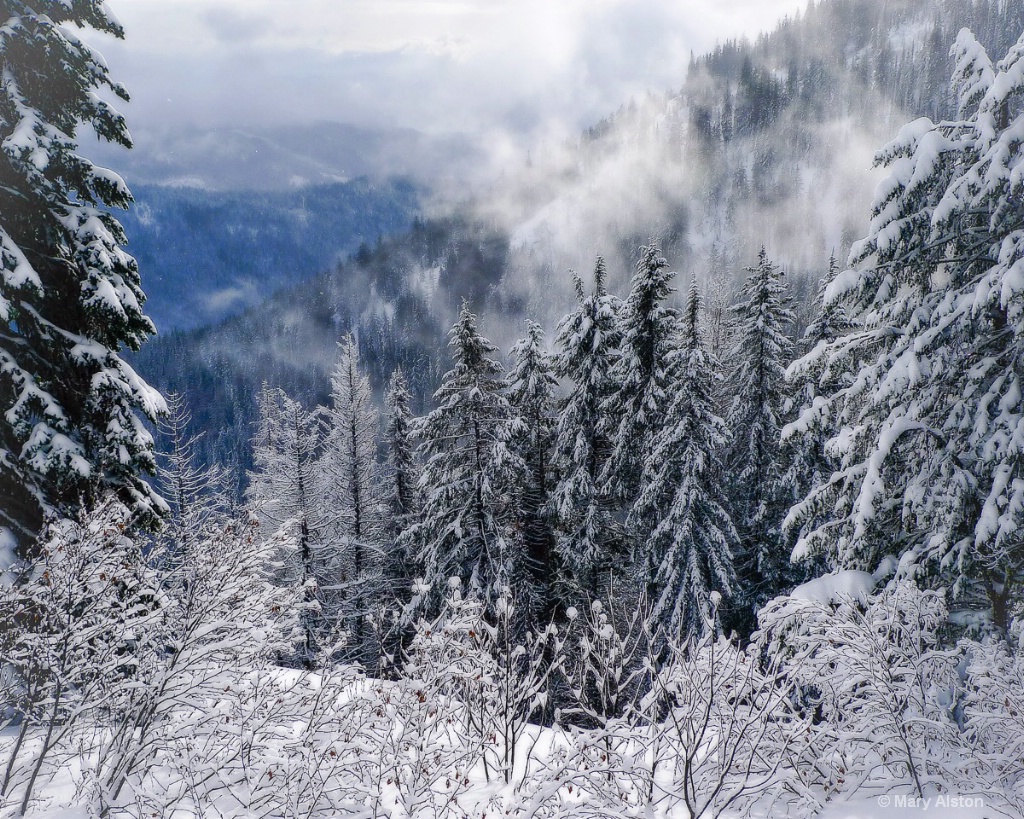 Frosty Morning on Red Mountain