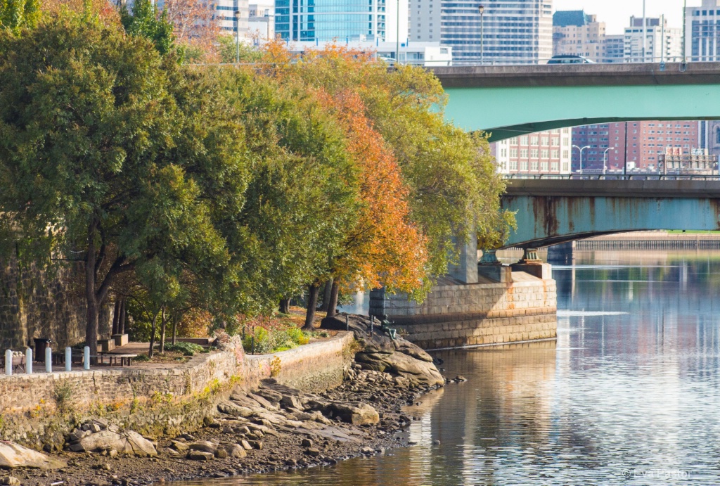 Fall on the River