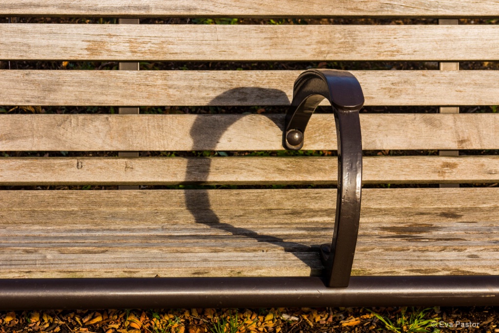 Park Bench Love