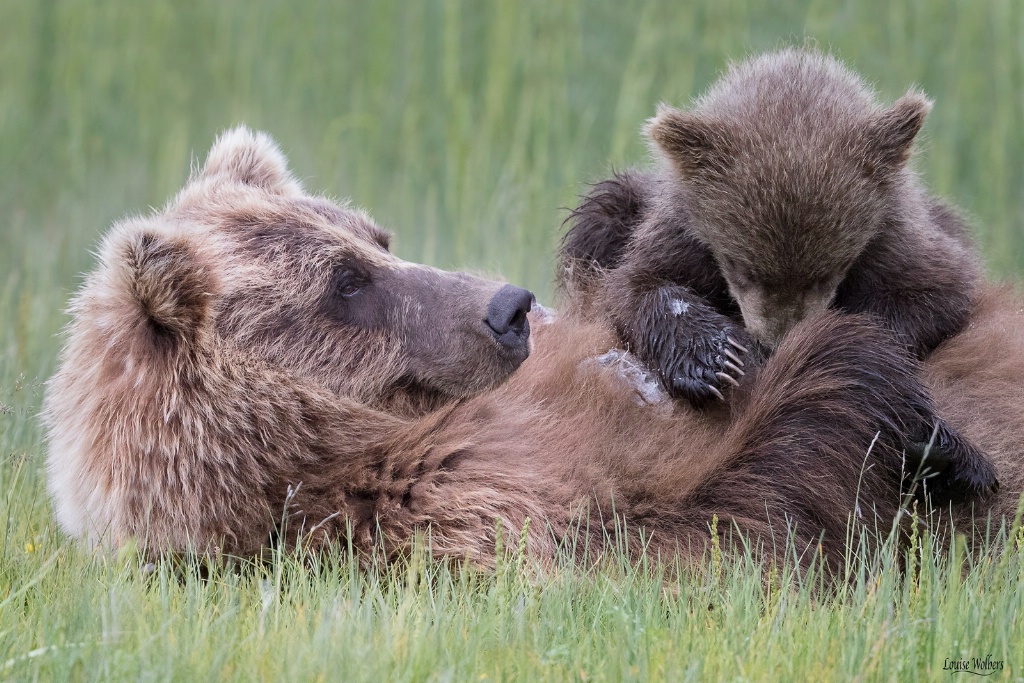 Feed Time - ID: 15487985 © Louise Wolbers