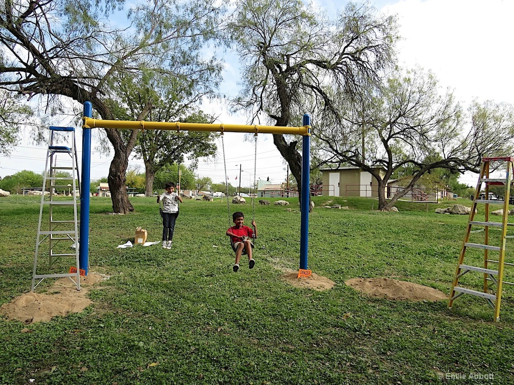 Three tree and kids swinging