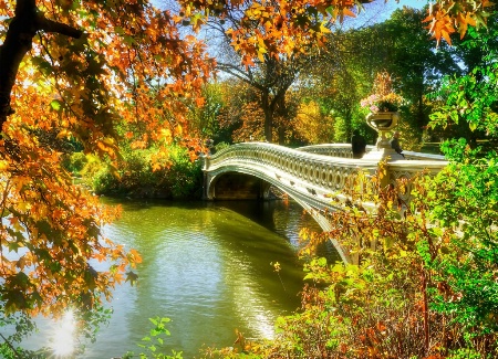 Surrounding Fall at Arch Bridge