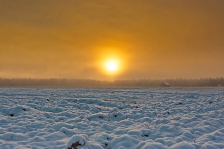 Snowy Fields In The Winter Sunrise