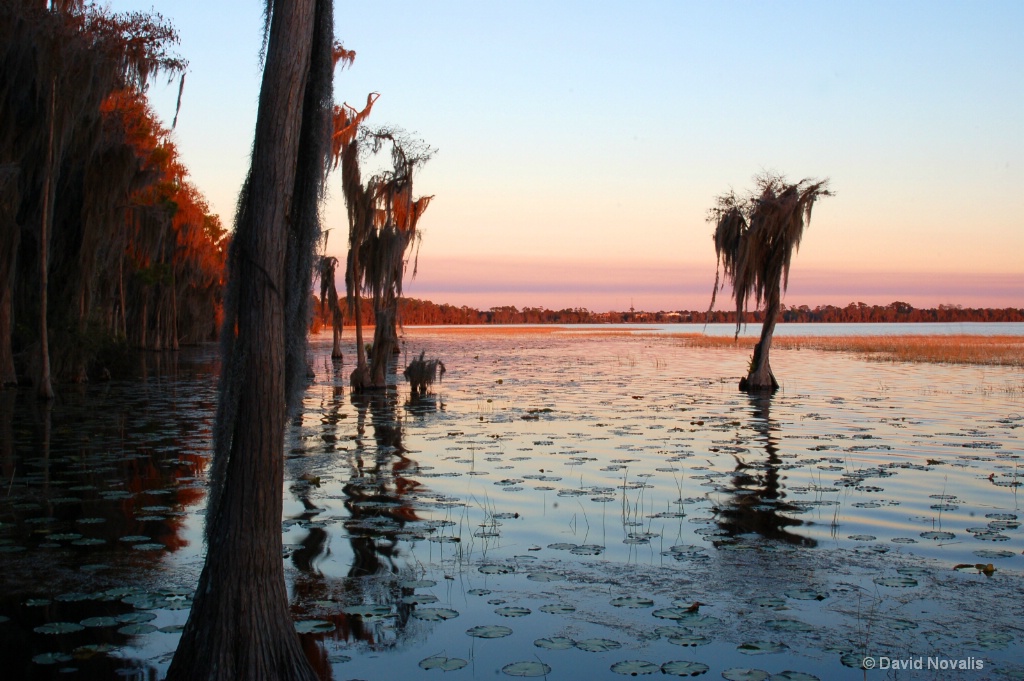 Lake Nona Sunrise