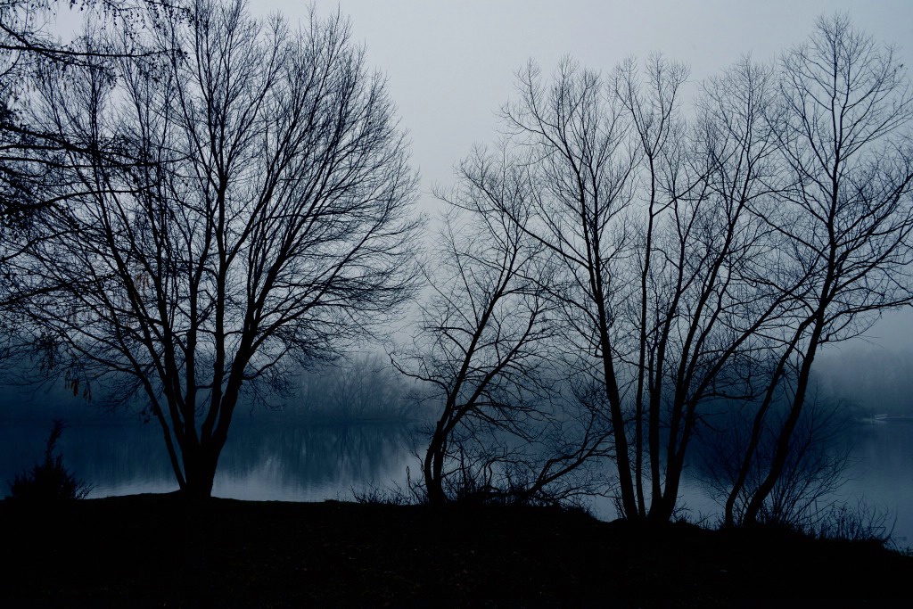 Blue Morning At The Lake