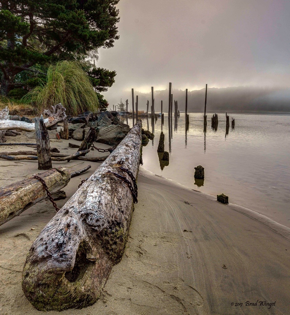 Chained Driftwood