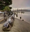 Chained Driftwood