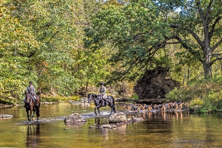 Crossing the Creek  