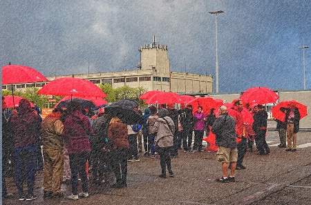 Rainy Day Excursion