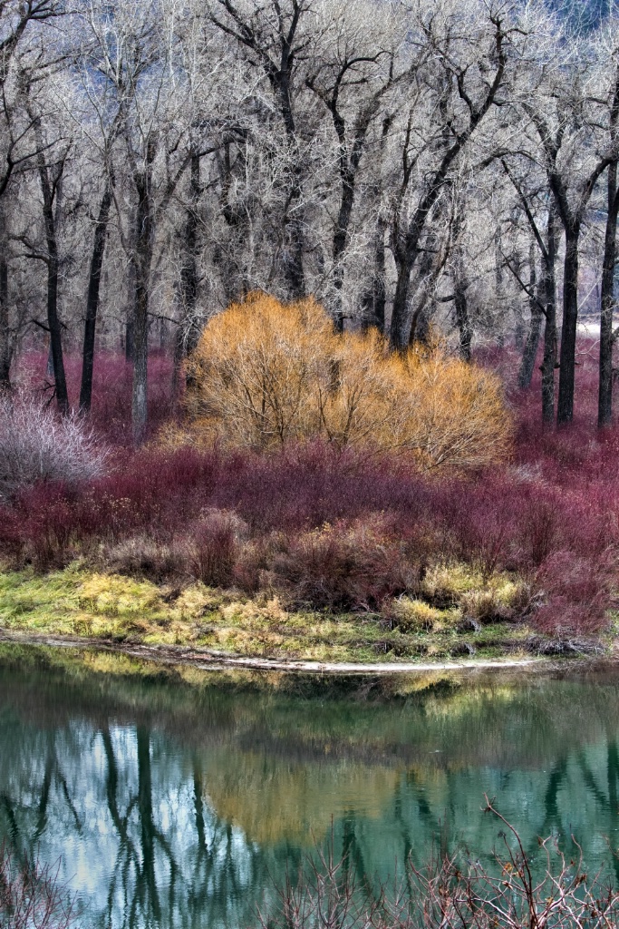 Montana Reflections