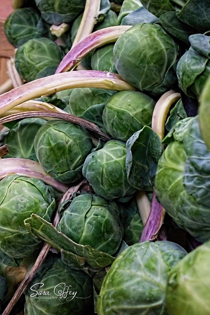 Brussels Sprouts