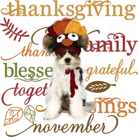 Wishing All a Blessing Filled Thanksgiving