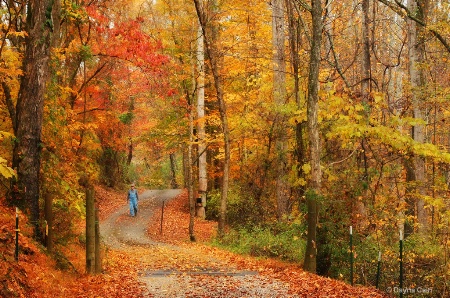 Strolling Through Autumn