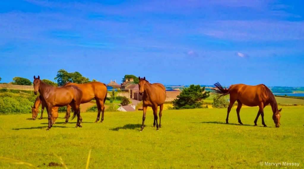 Formation Grazing