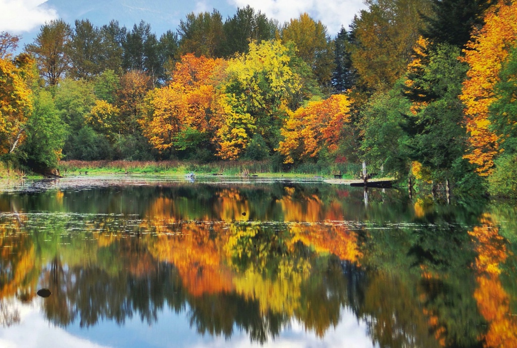 Fall Reflection