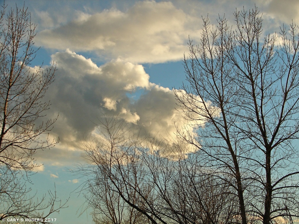 Early March Sky