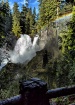 McKenzie River Fa...