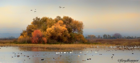 Autumn on the Marsh