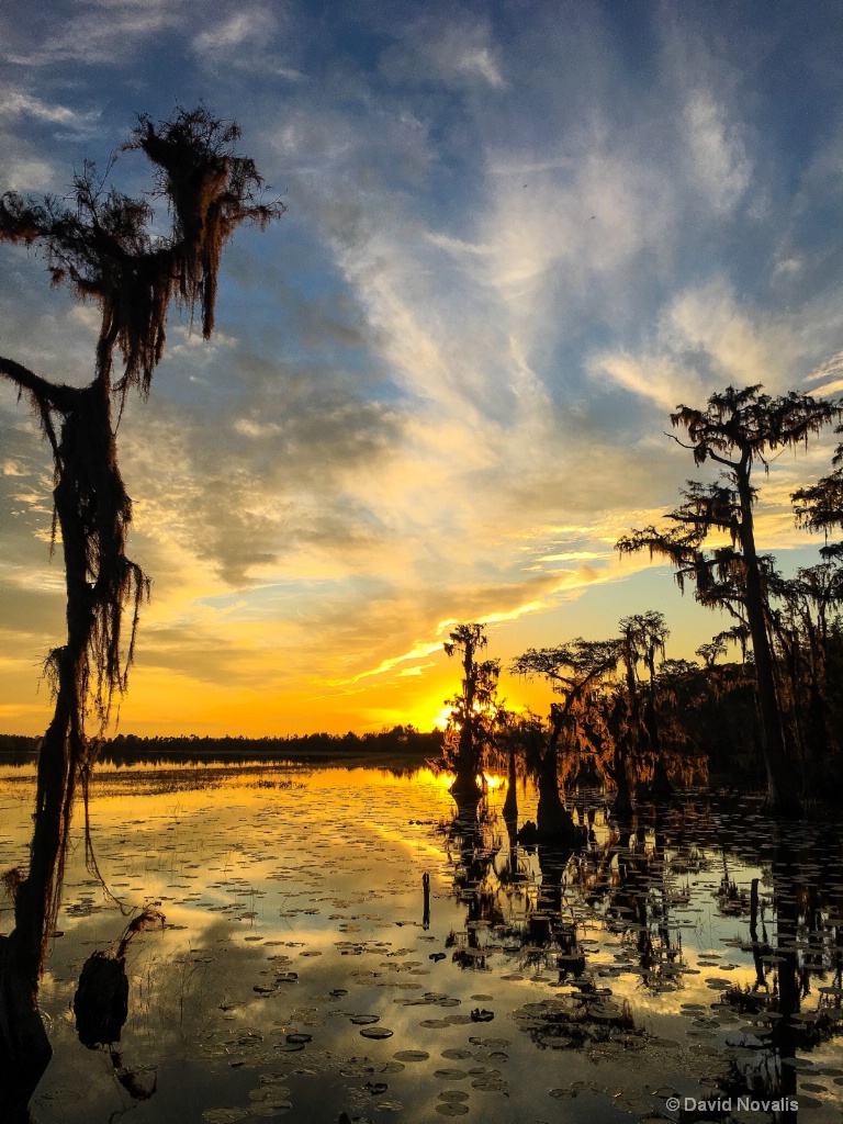 Lake Nona Sunset