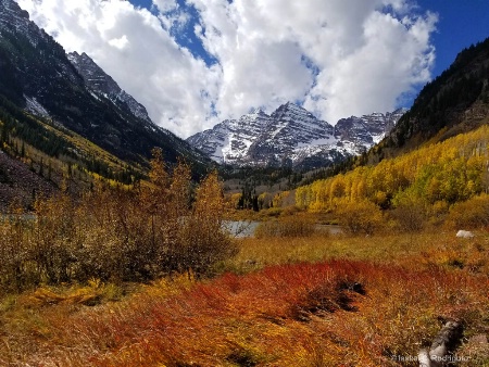 Bells Fall Trail