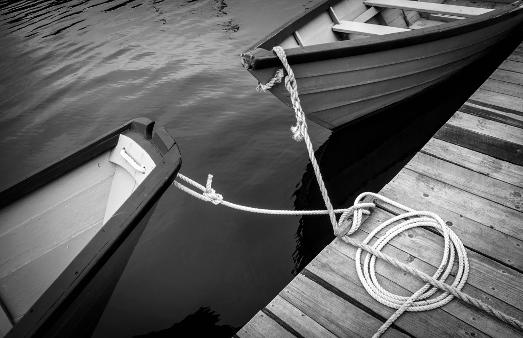 Duo at the Dock