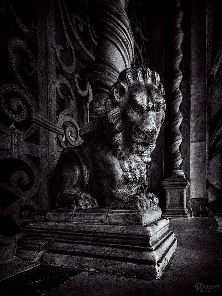 A Lion of Florence - ID: 15497649 © Chris Budny