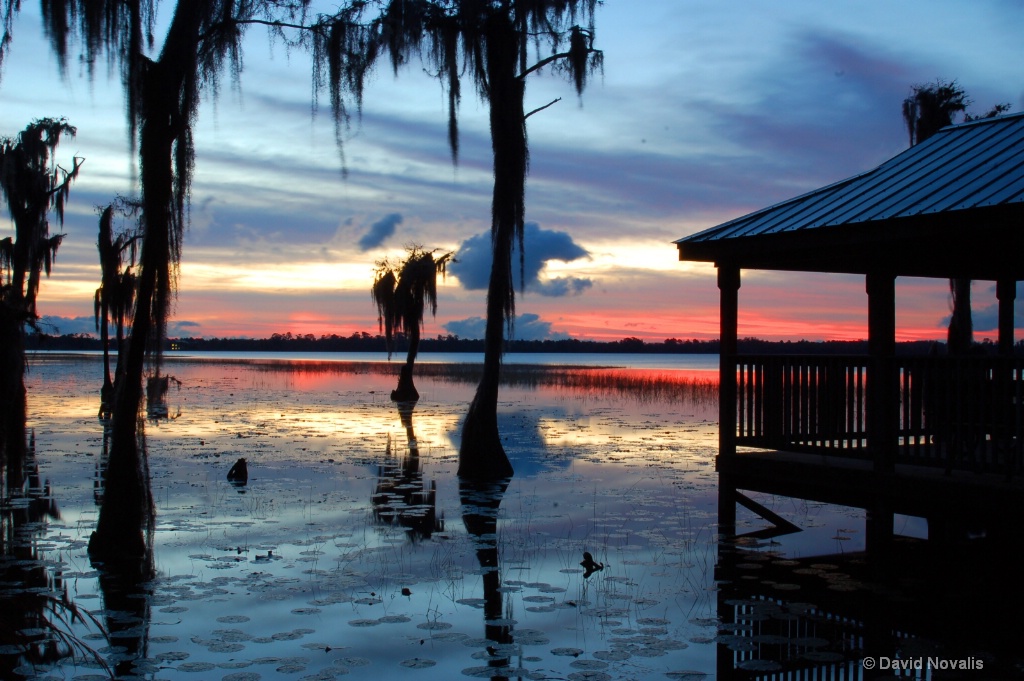 Green Dock At Sunrise