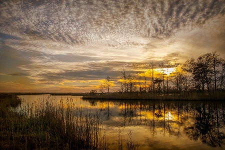 Tuchahoe Wildlife Management Area