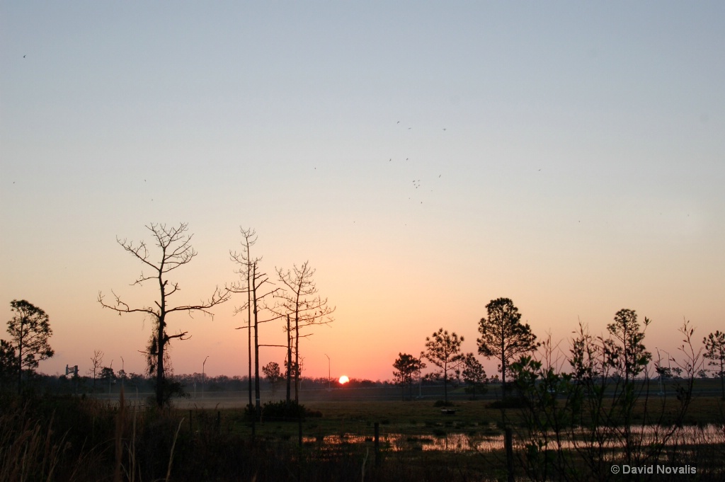 Nona Wetlands