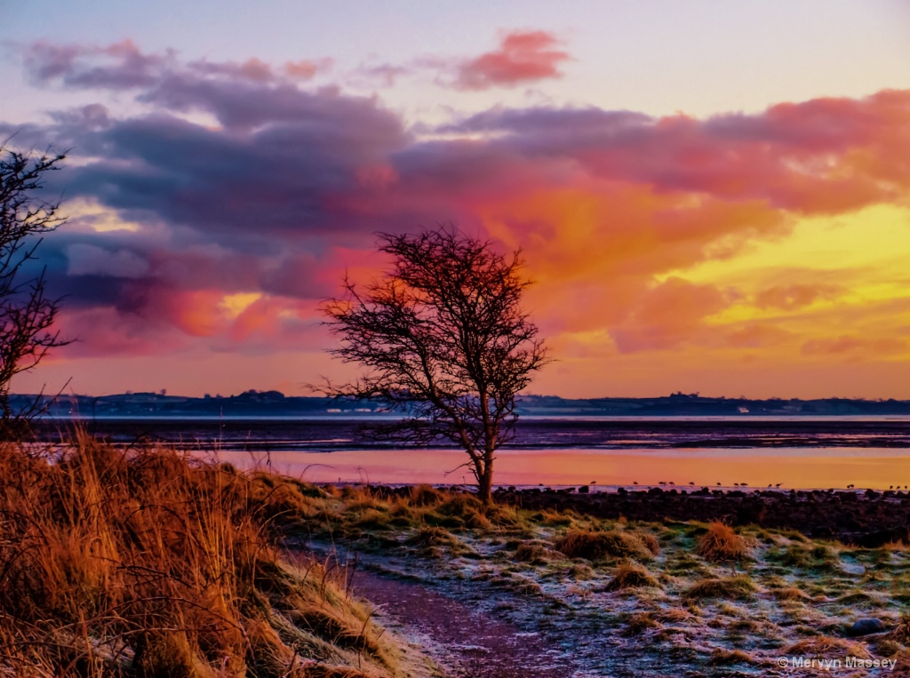 A cold & frosty morning