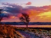A cold & frosty m...