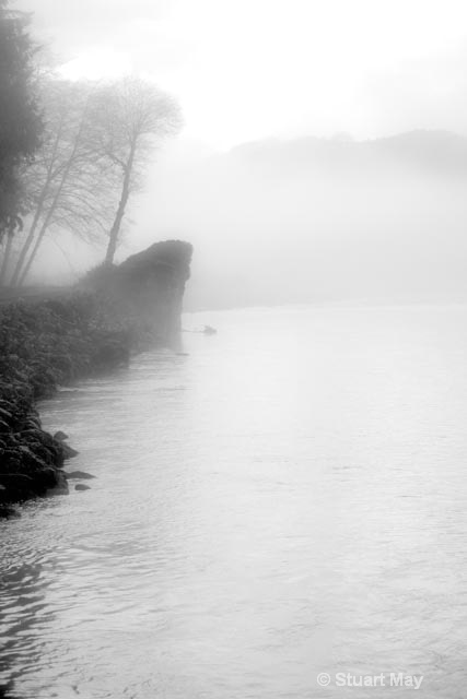 Quinault river fog 1 - ID: 15499310 © Stuart May
