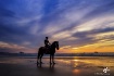 Riding on the bea...