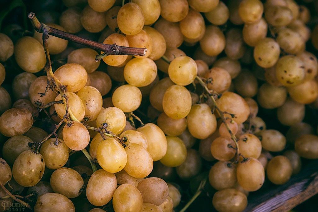Market Grapes - ID: 15499644 © Chris Budny