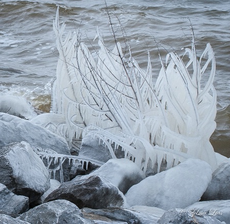 Nature's Ice Sculpture