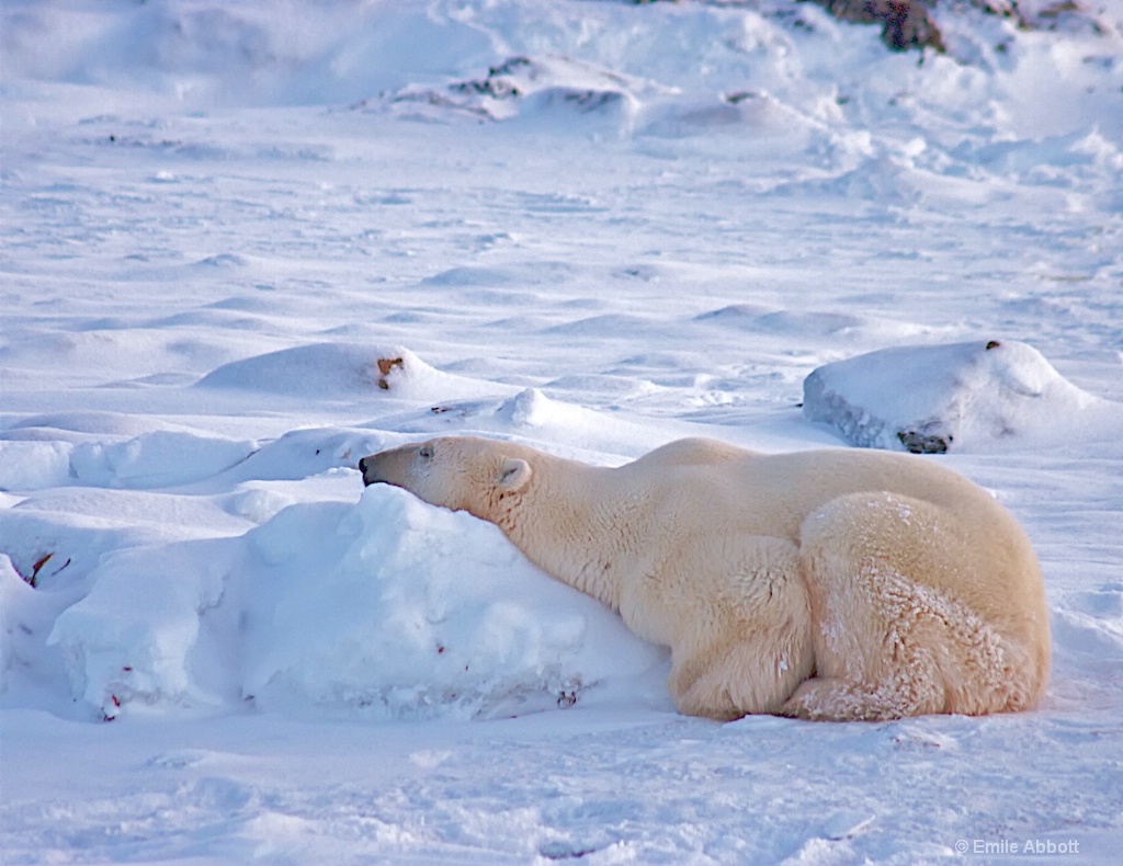 Ice Pillow