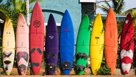 Surfboard Fence # 4