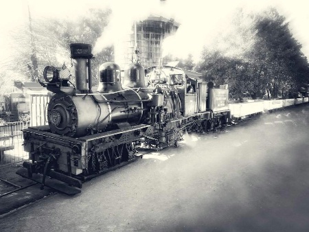 Roaring Camp RR