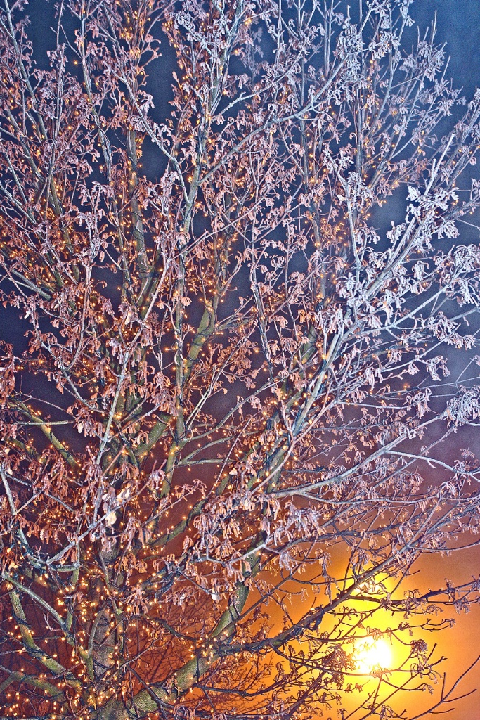Season tree with lights and icicles