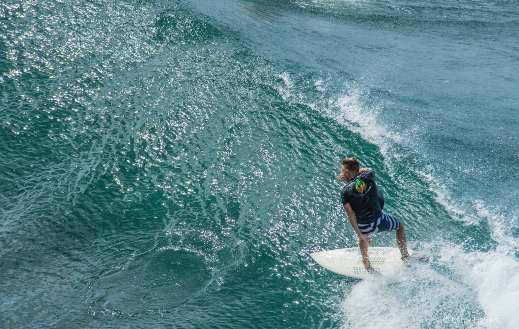 Maui Surf # 15 - ID: 15503457 © Larry Heyert