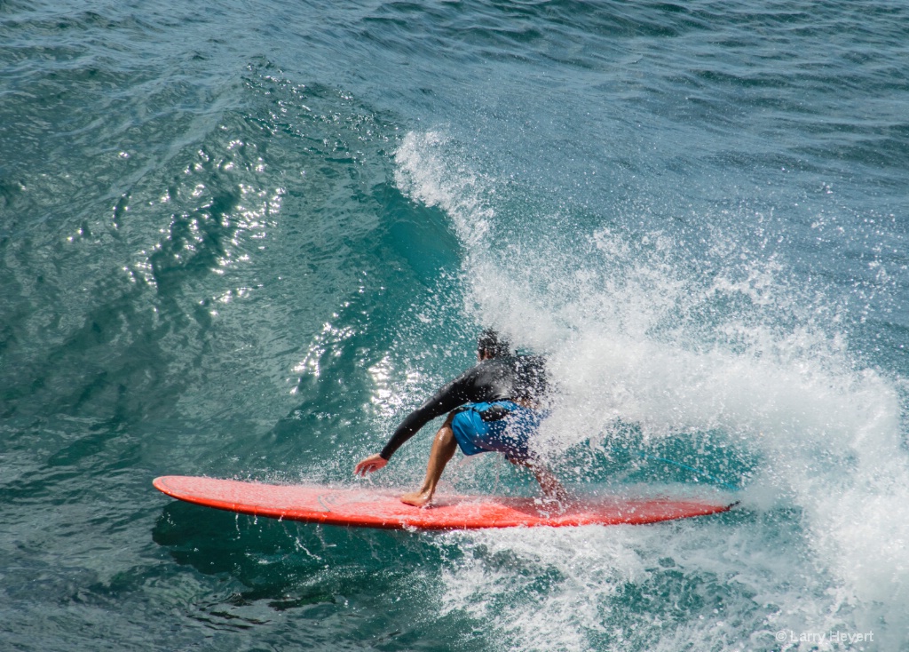 Maui Surf # 21 - ID: 15503502 © Larry Heyert