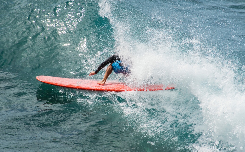 Maui Surf # 22 - ID: 15503504 © Larry Heyert