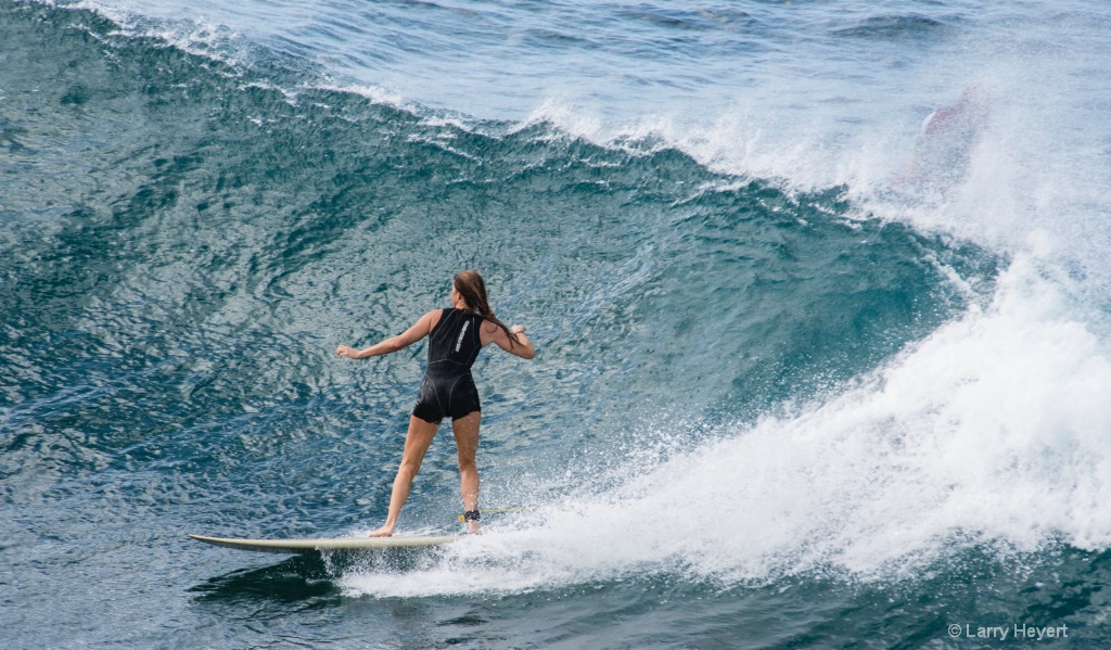 Maui Surf # 23 - ID: 15503505 © Larry Heyert