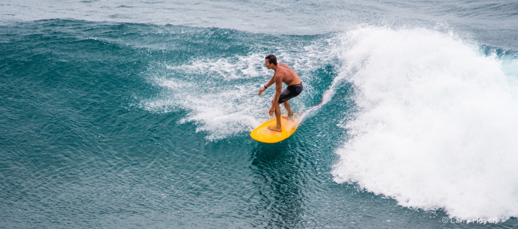Maui Surf # 24 - ID: 15503507 © Larry Heyert