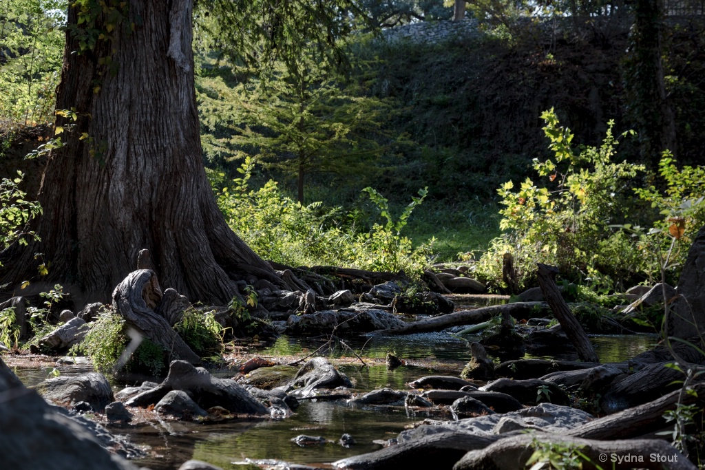 Krouse Springs - ID: 15503785 © Sydna Stout