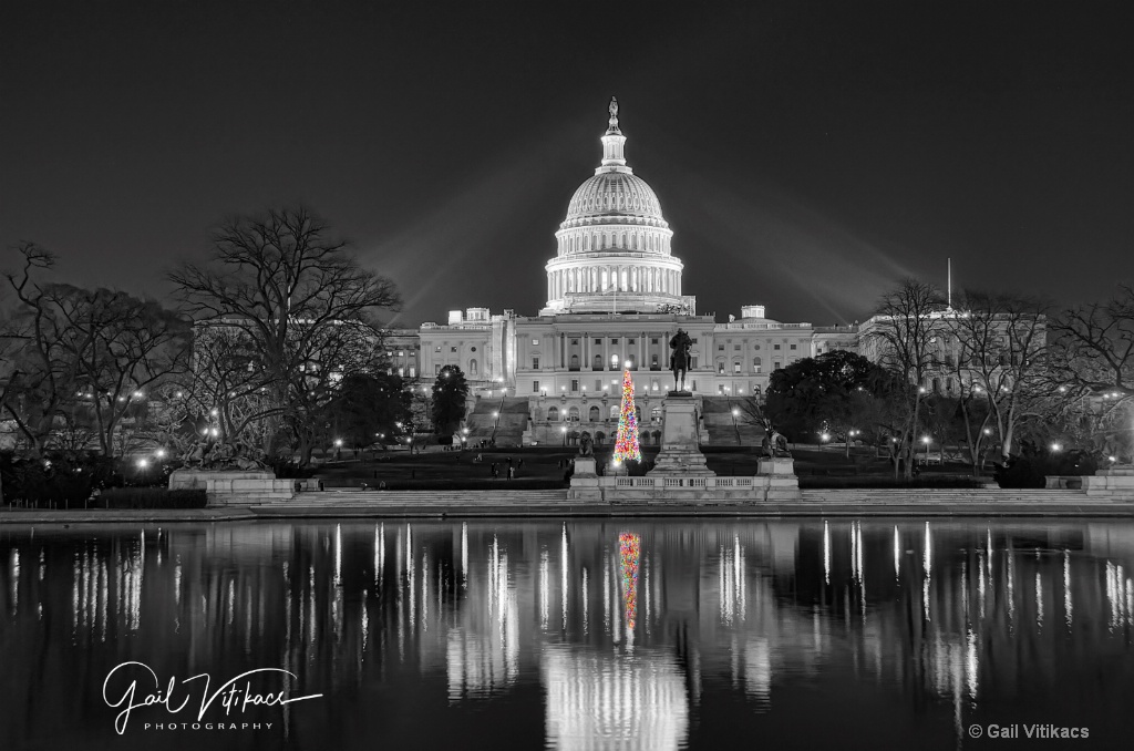 Christmas in Washington, DC