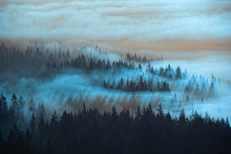 Twilight Mists