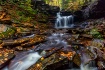 Late Fall
