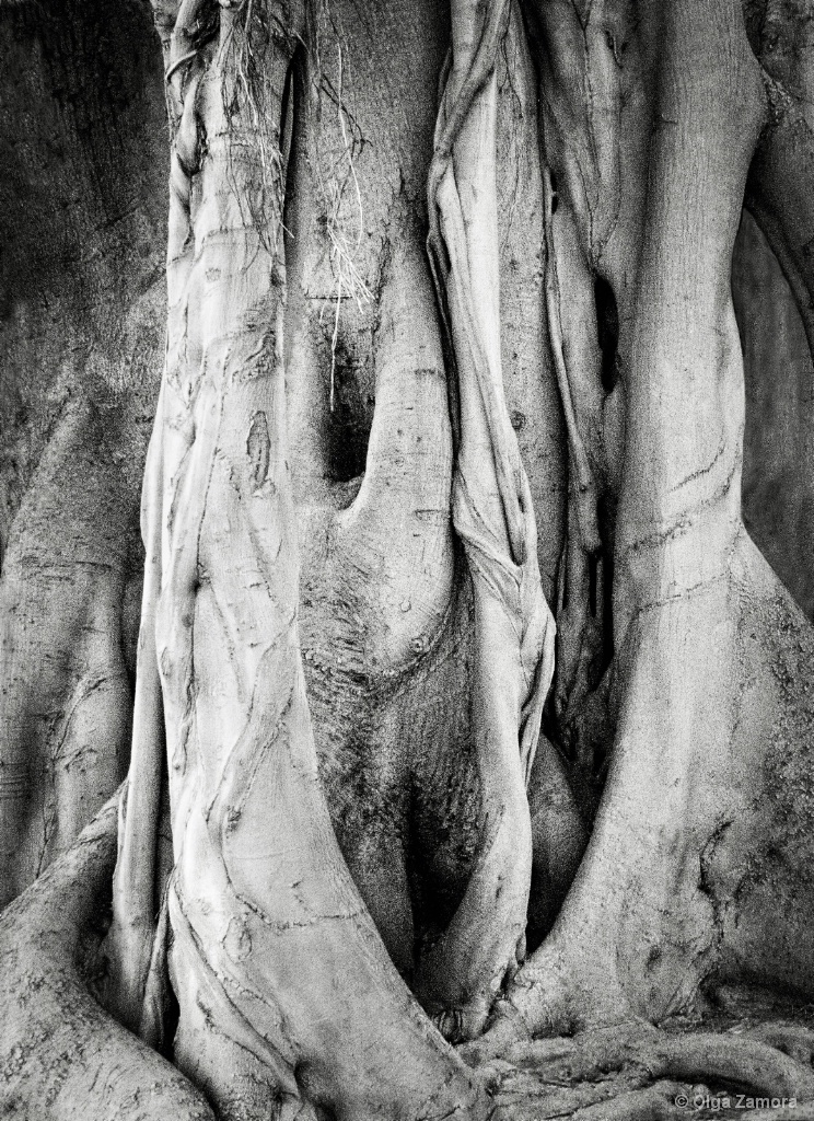The Grotto - ID: 15506394 © Olga Zamora
