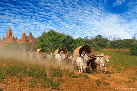 Return From Festival in Bagan
